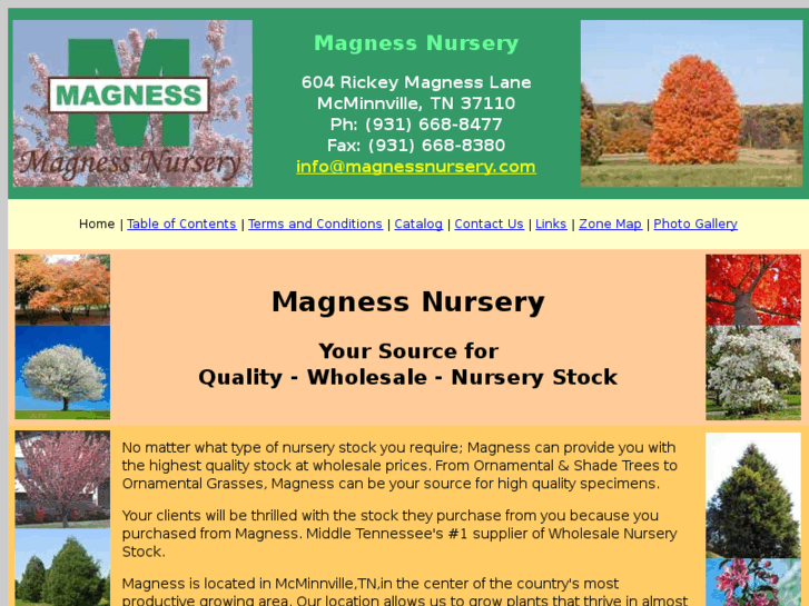 www.magnessnursery.com