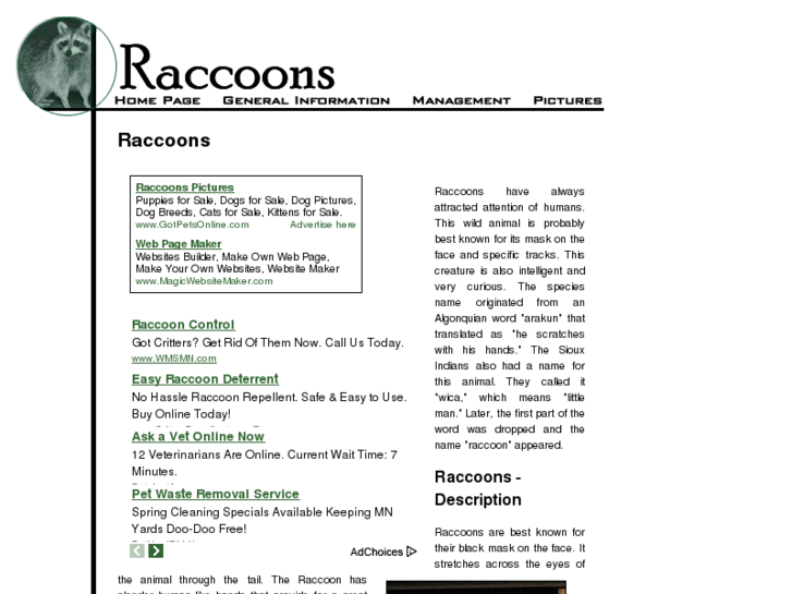 www.raccoons-raccoons.com