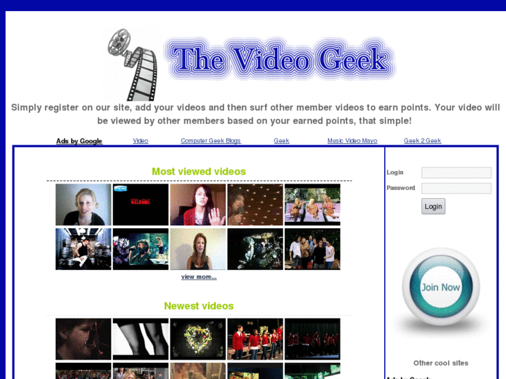 www.thevideogeek.com