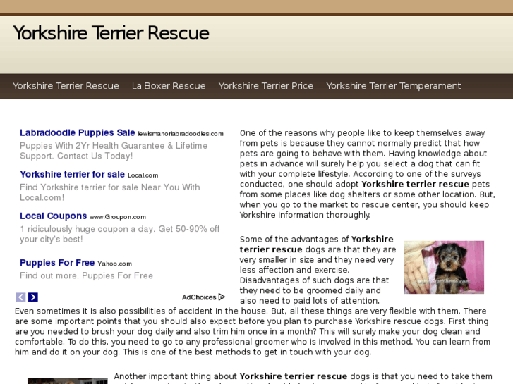 www.yorkshireterrierrescue.info