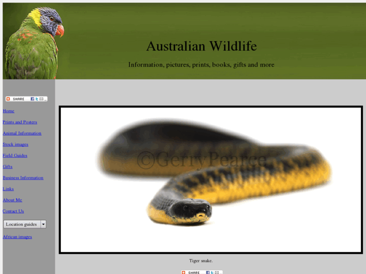 www.australian-wildlife.com