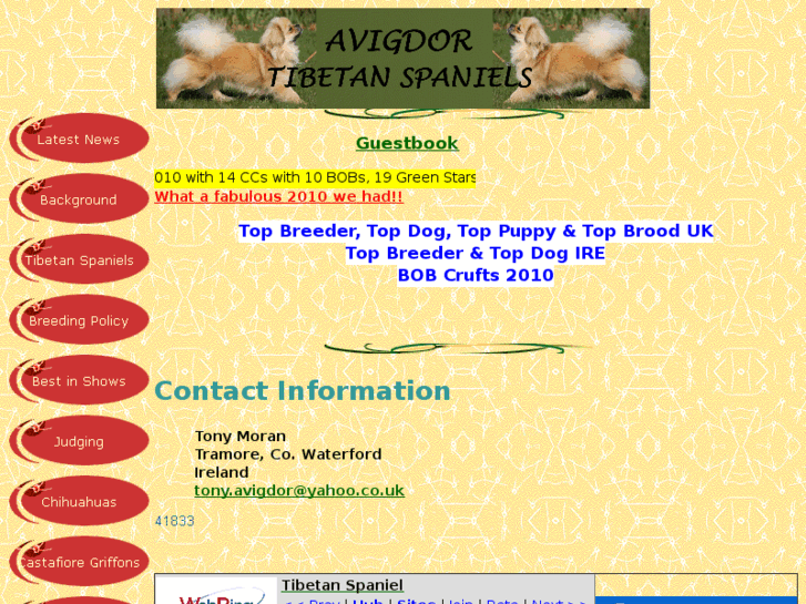 www.avigdor-tibetan-spaniels.com