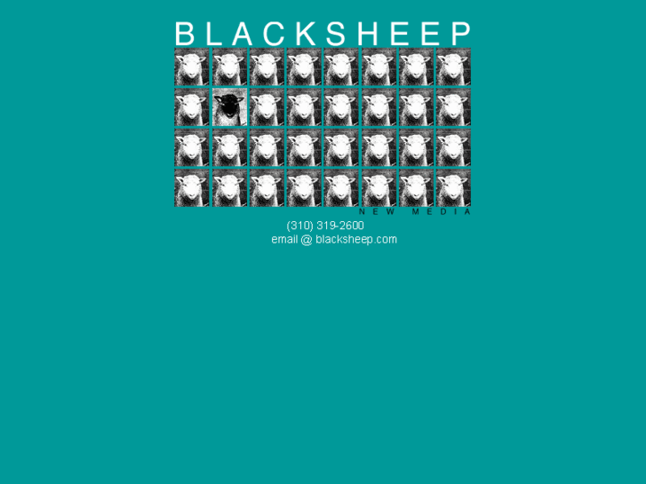 www.blacksheep.com