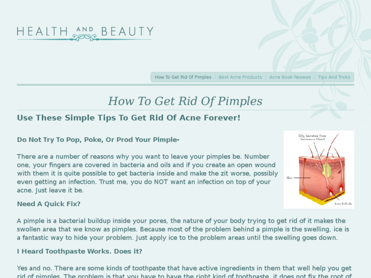 www.how-to-get-rid-of-pimples.org