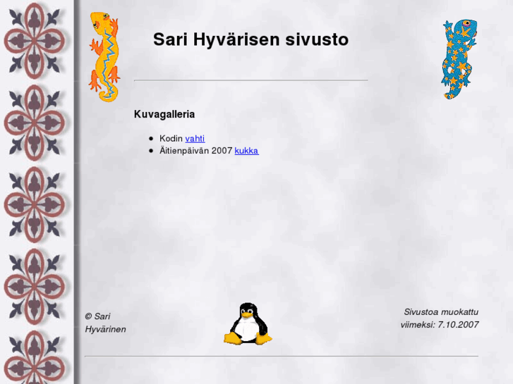 www.sarihyvarinen.net