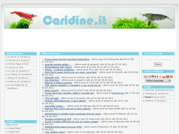 www.caridine.com