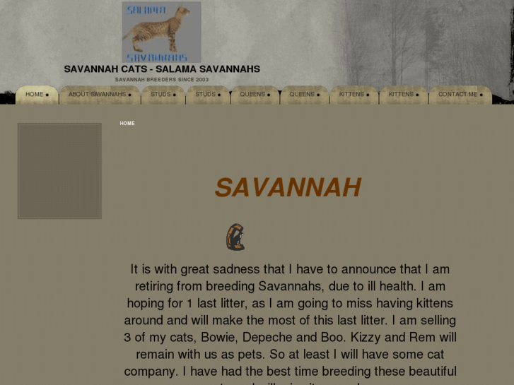 www.savannahs.co.uk