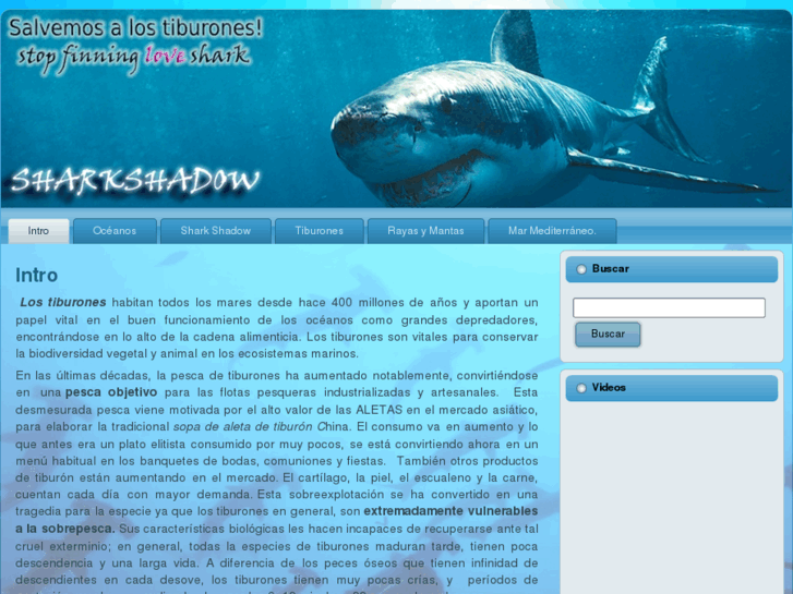 www.sharkshadow.com