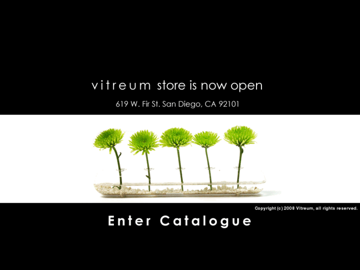 www.vitreum-us.com