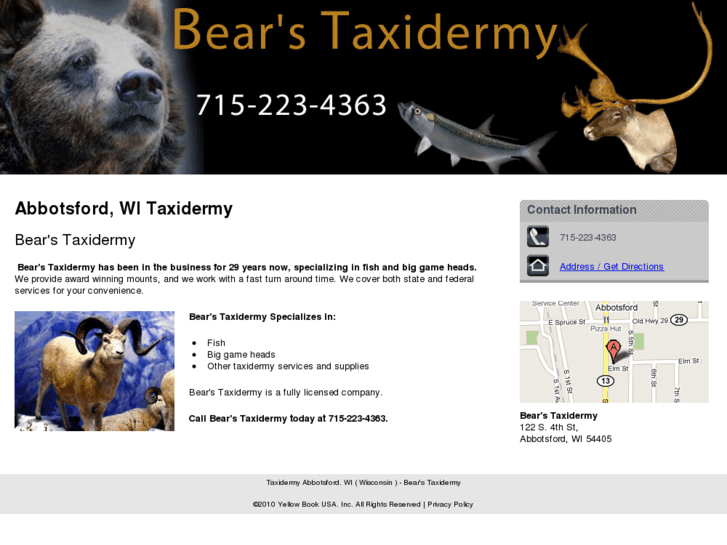 www.bearstaxidermy.com