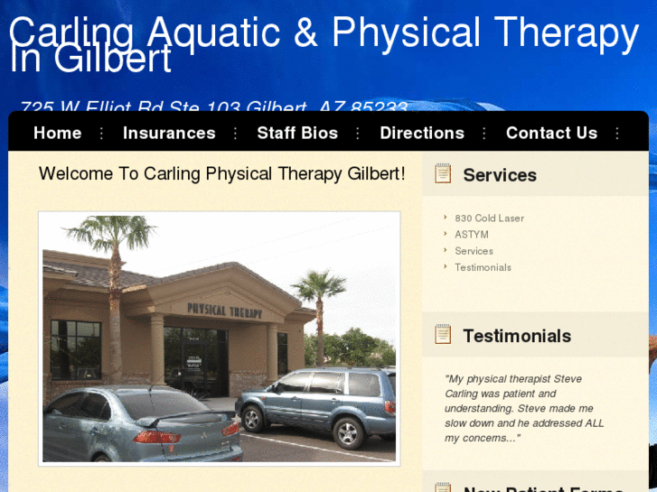 www.carlingphysicaltherapy.com