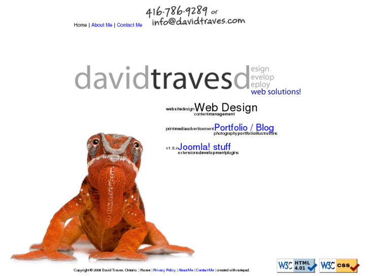 www.davidtraves.com