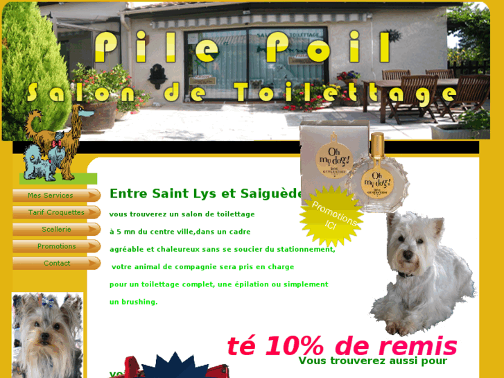 www.pilepoil-stlys.com