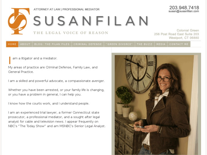 www.susanfilan.com