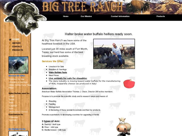 www.bigtreewaterbuffalo.com