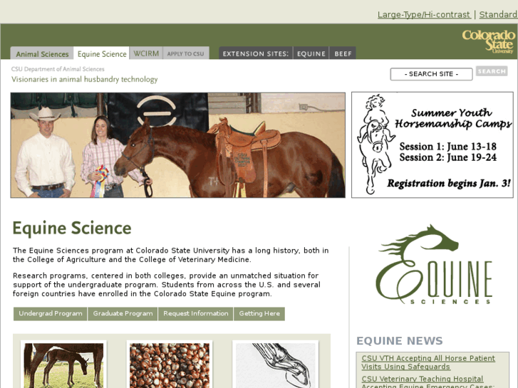 www.csuequine.com