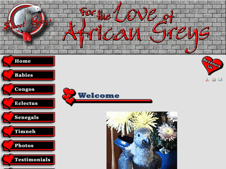 www.sweetgreys.com