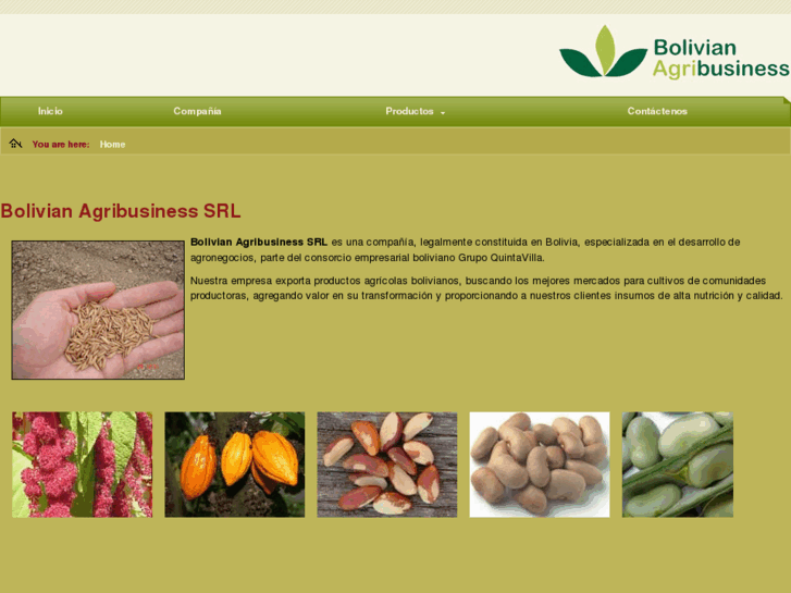 www.bolivian-agribusiness.com