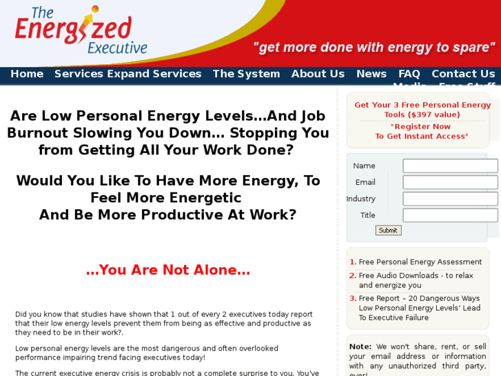 www.energizedexecutive.com