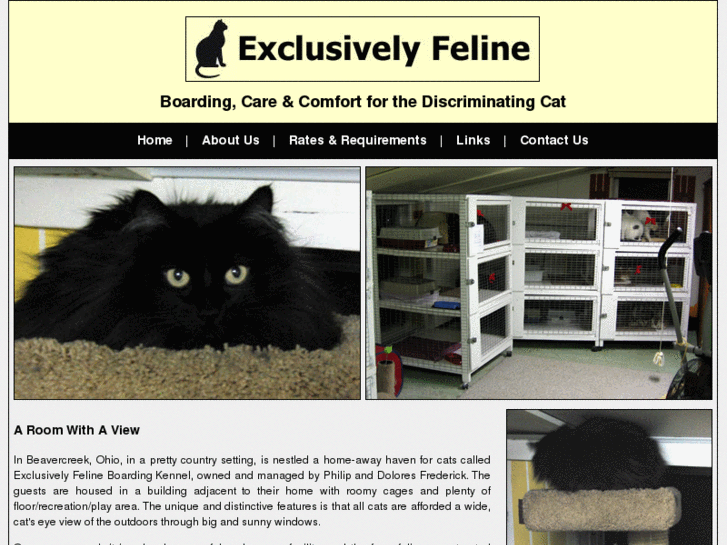 www.exclusivelyfeline.com