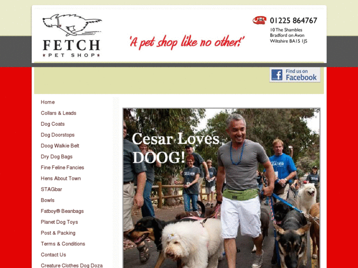 www.fetchpetshop.com