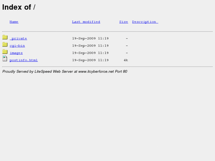 www.itcyberforce.net