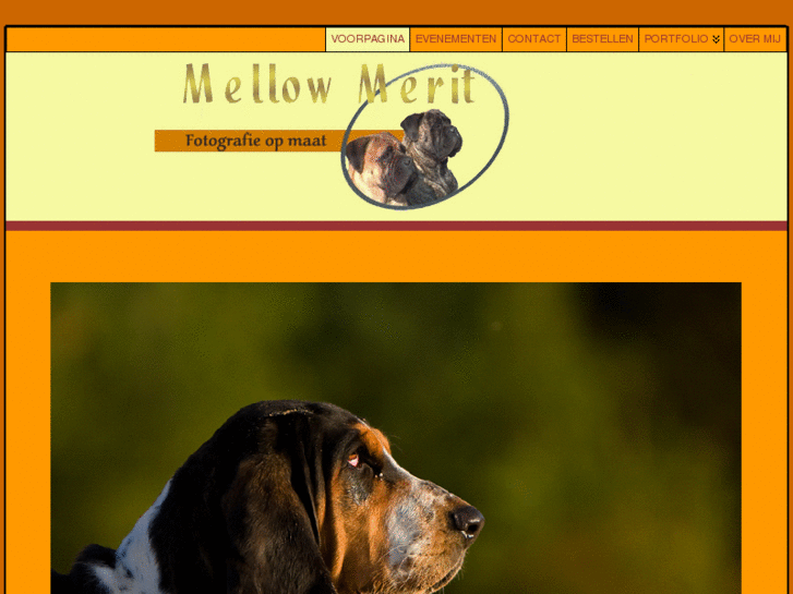 www.mellowmerit.com