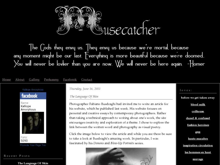 www.musecatcher.com