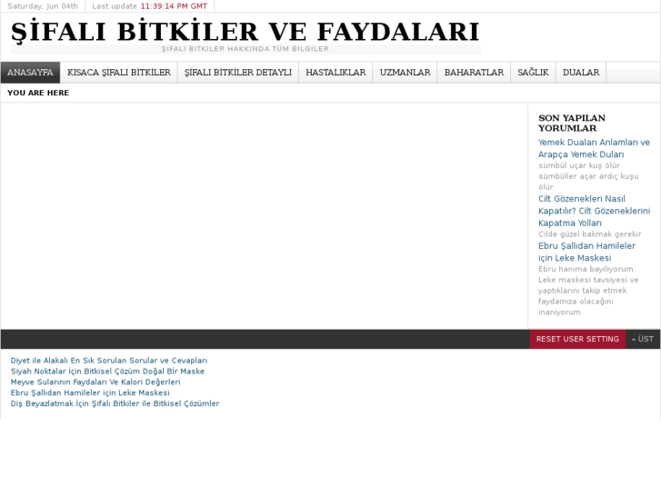 www.sifalibitkilerarsivi.com