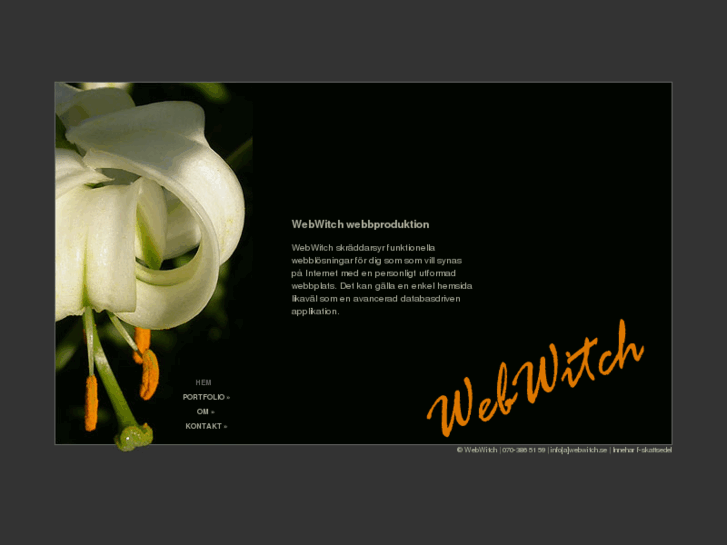 www.webwitch.se