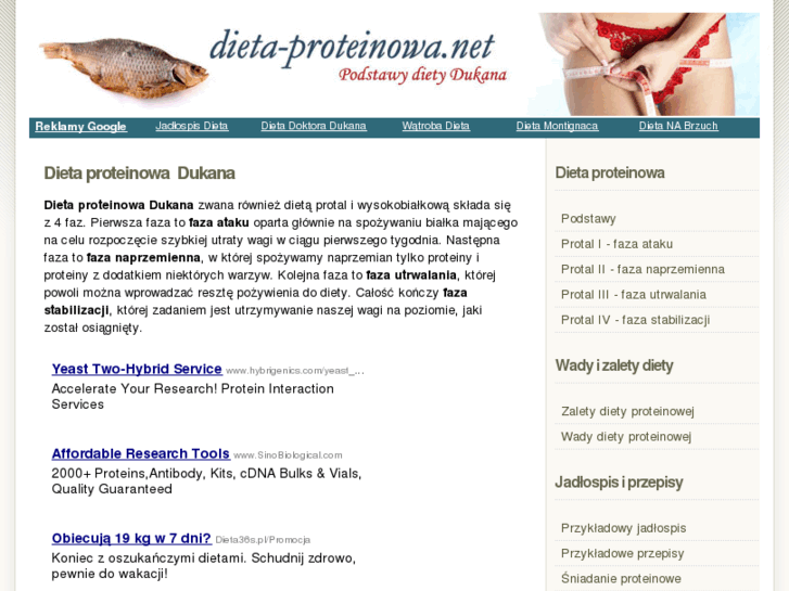 www.dieta-proteinowa.net