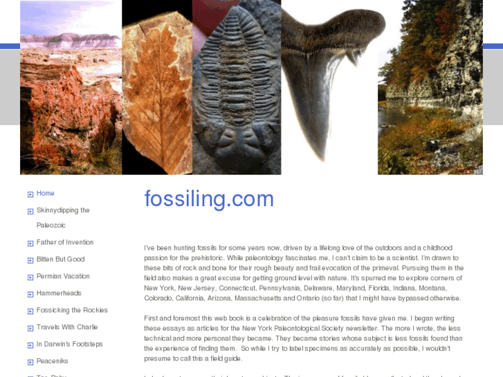 www.fossiling.com