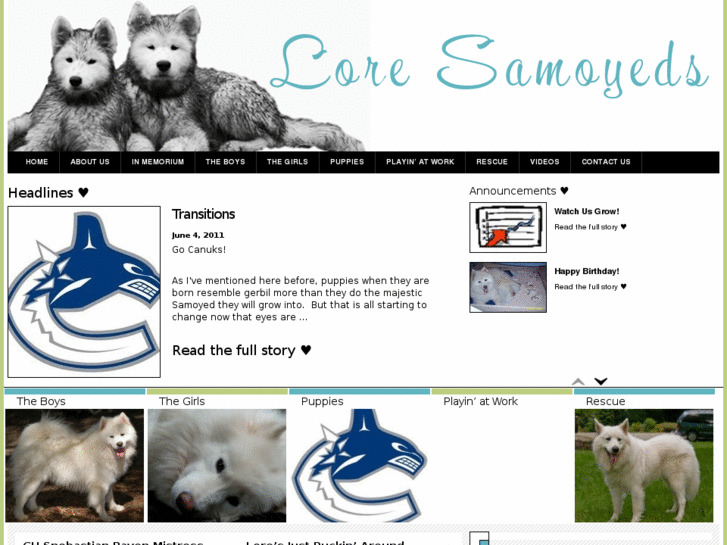 www.loresamoyeds.com