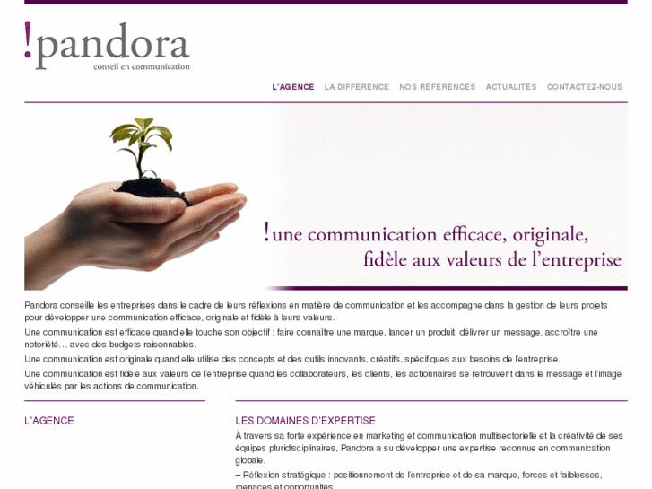 www.pandoraconseil.com