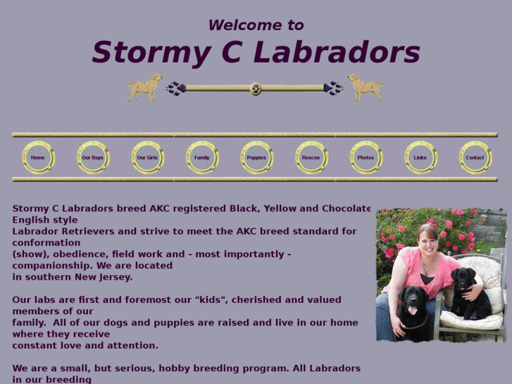 www.stormyclabradors.com