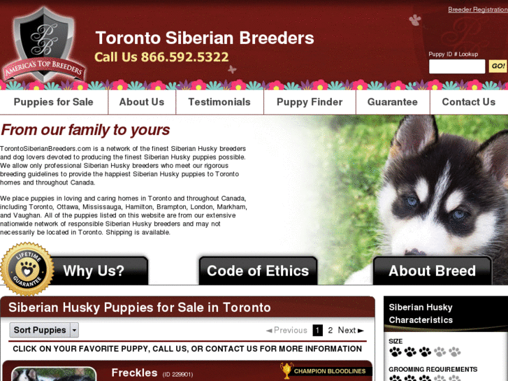 www.torontosiberianbreeders.com