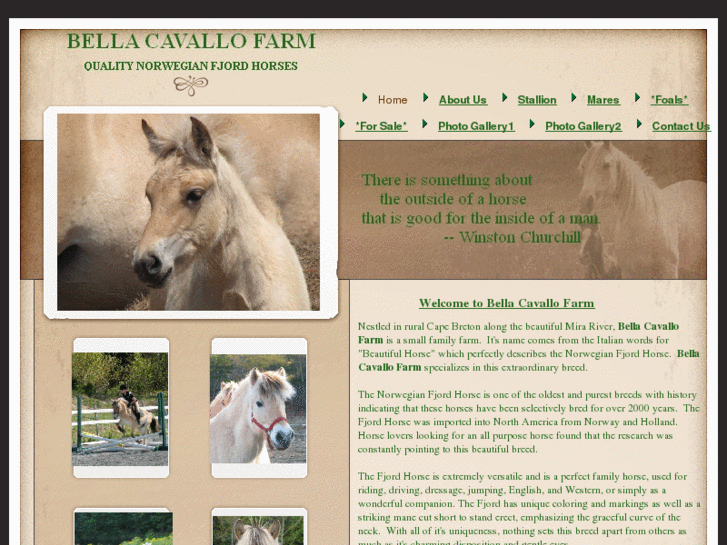 www.bellacavallofarm.com