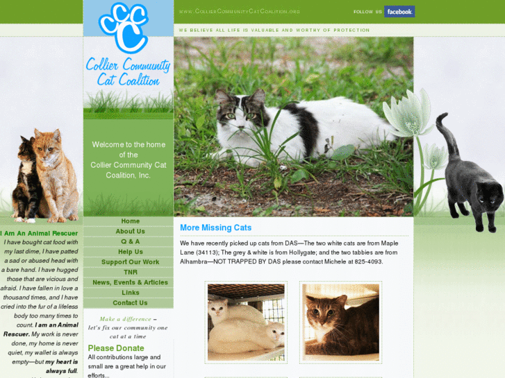 www.colliercommunitycatcoalition.org