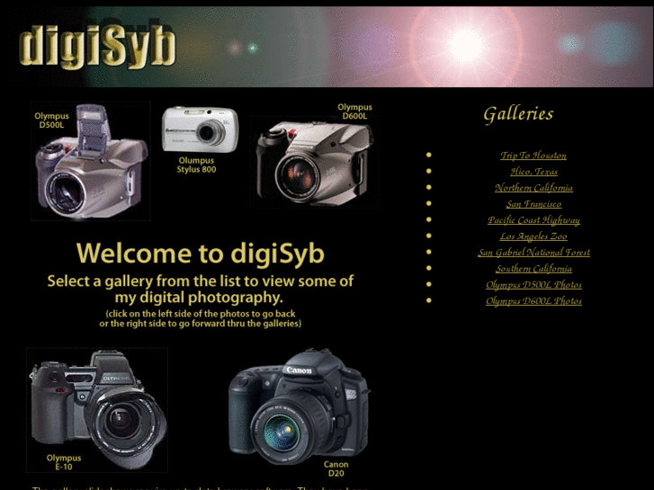 www.digisyb.com