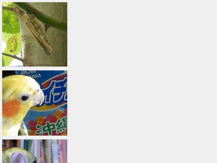 www.hapiz.net