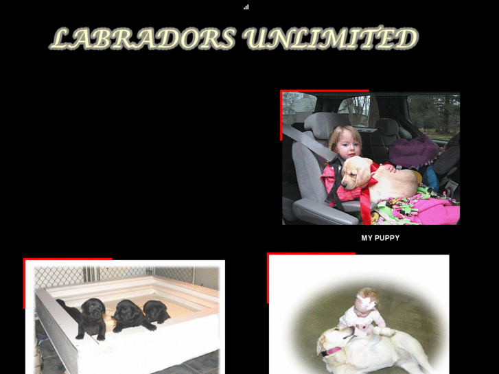 www.labradorpuppiesunlimited.com