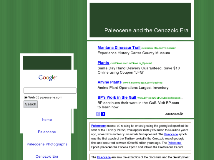 www.paleocene.com