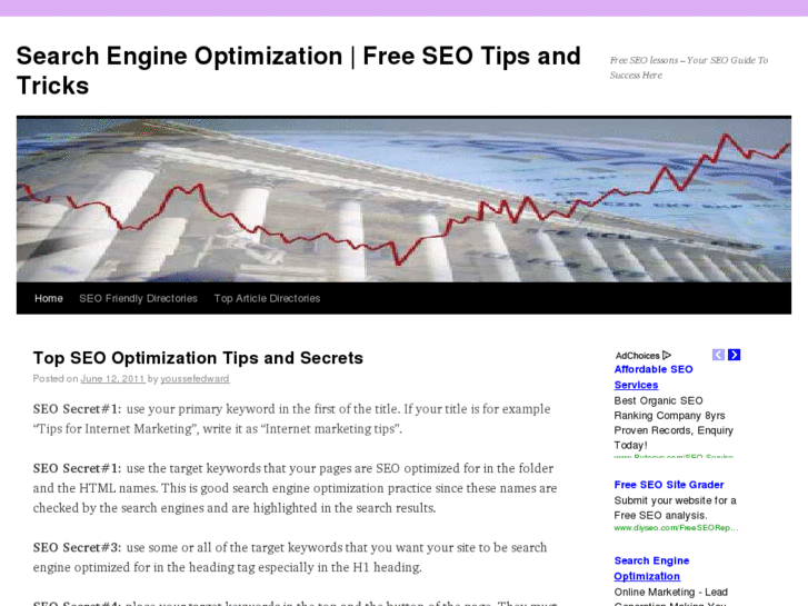 www.searchengineoptimization-tips.info