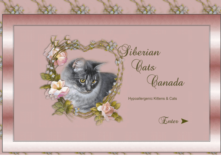 www.siberiancatscanada.com