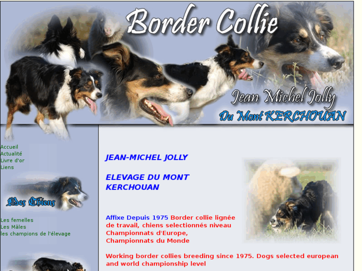 www.border-collie-chien-troupeaux.com