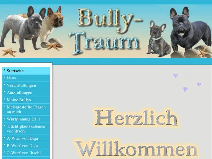 www.bully-traum.com