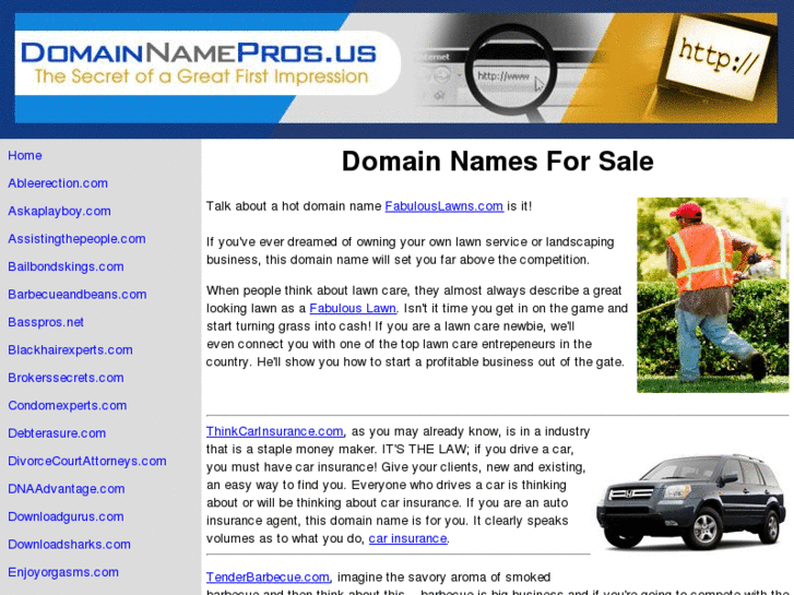 www.domainnamepros.us