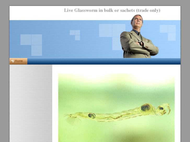 www.glassworm4fish.co.uk