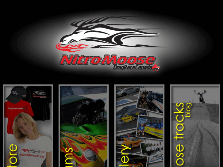 www.nitromoose.ca