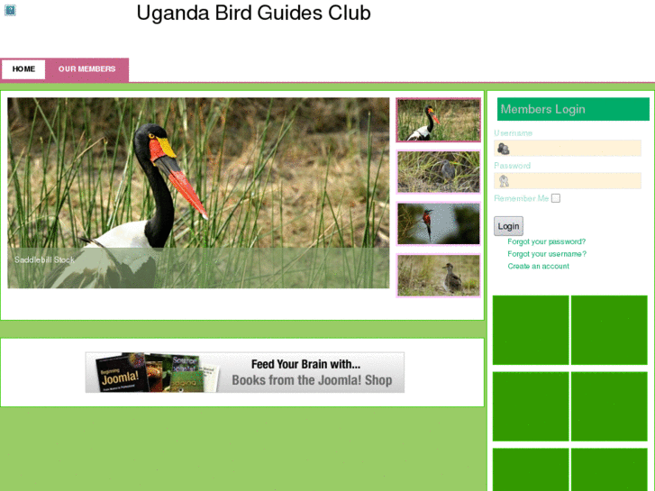 www.ugandabirdguides.org